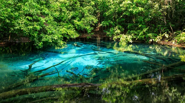 Blue Pool Source Cristalline Turquoise Milieu Forêt Krabi Thaïlande — Photo