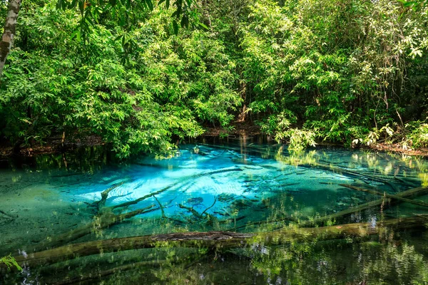Blue Pool Source Cristalline Turquoise Milieu Forêt Krabi Thaïlande — Photo