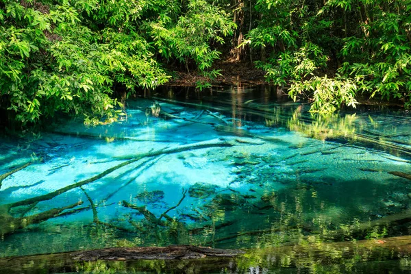 Blue Pool Source Cristalline Turquoise Milieu Forêt Krabi Thaïlande — Photo