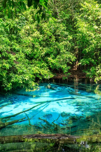 Blue Pool Primavera Cristalina Turquesa Medio Del Bosque Krabi Tailandia —  Fotos de Stock