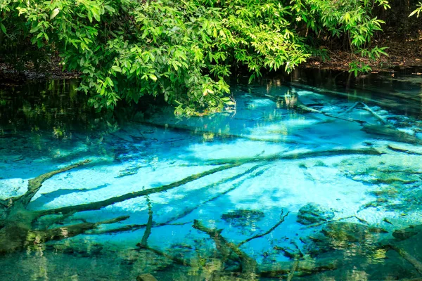 Blue Pool Source Cristalline Turquoise Milieu Forêt Krabi Thaïlande — Photo