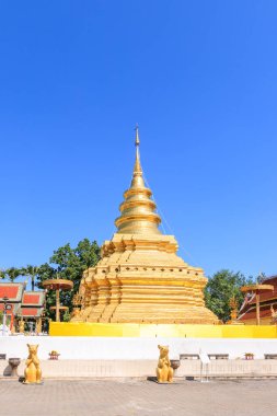 Altın buddha kalıntı pagoda adlı Wat Phra ki Si Chom tanga Worawihan Chiang Mai, Tayland