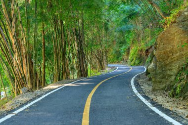 Asfalt yürüyüş yolu yol yol güzergahı ormanı Ulusal Parkı