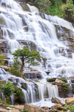 Ağaç şelale arka planda, Mae Ya şelale, Doi Inthanon, Chiang Mai, Tayland