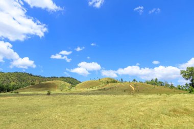 Kel Tepe Dağı 'nda yeşil çimenler, Tayland Ranong' da manzaralı bir park.