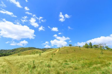 Kel Tepe Dağı 'nda yeşil çimenler, Tayland Ranong' da manzaralı bir park.