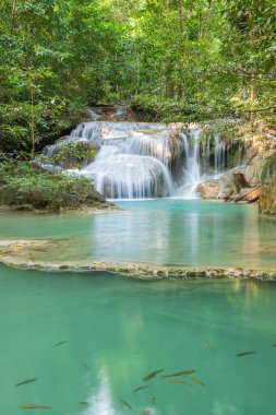 Erawan Şelalesi Kademe 1, Tayland, Kanchanaburi 'deki Ulusal Park' ta