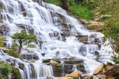 Ağaç şelale arka planda, Mae Ya şelale, Doi Inthanon, Chiang Mai, Tayland