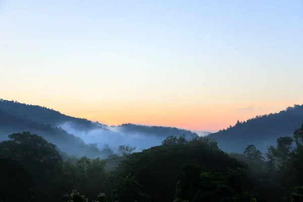 Tropischer Waldberg Mit Nebel Und Nebel Morgen Bezirk Hang Dong — Stockfoto