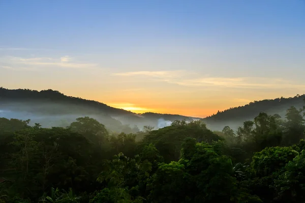 Montaña Bosque Tropical Con Niebla Niebla Mañana Antes Del Amanecer —  Fotos de Stock