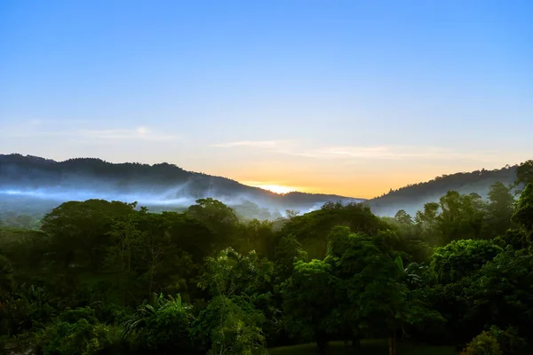 Tropical Forest Mountain Fog Mist Morning Sun Rise Hang Dong — Stock Photo, Image