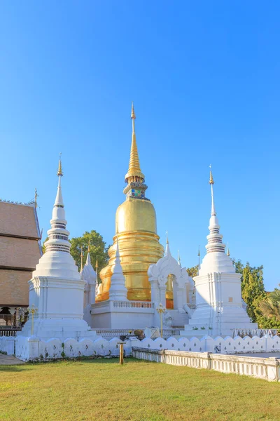 Pagodák Wat Suan Dok Templomban Chiang Mai Ban Thaiföld Északi — Stock Fotó