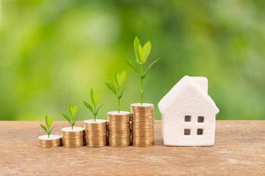 Ağaç bulanıklık yeşil arka plan ipotek konsepti tasarrufu ile modeli ev ve sikke yığını