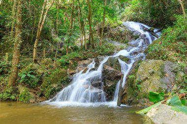 Mae Kampong şelale Chiang Mai, Tayland kuzeyinde