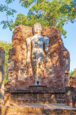 Wat Phra Si Ariyabot tapınağındaki ayakta duran Buda heykeli Kamphaeng Phet Tarihi Parkı, Unesco Dünya Mirası alanı