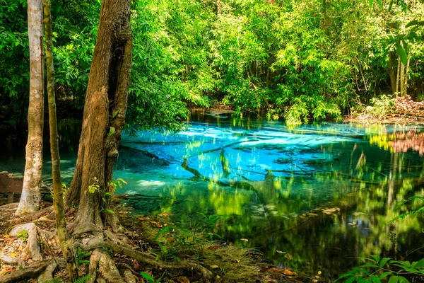 Blue Pool Source Cristalline Turquoise Cachée Milieu Forêt Krabi Thaïlande — Photo