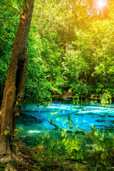 Blue Pool Türkis Kristallklare Quelle Versteckt Mitten Wald Krabi Thailand — Stockfoto