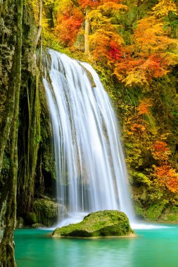 Sonbahar boyunca Ulusal Park Ormanı 'nda renkli görkemli şelale