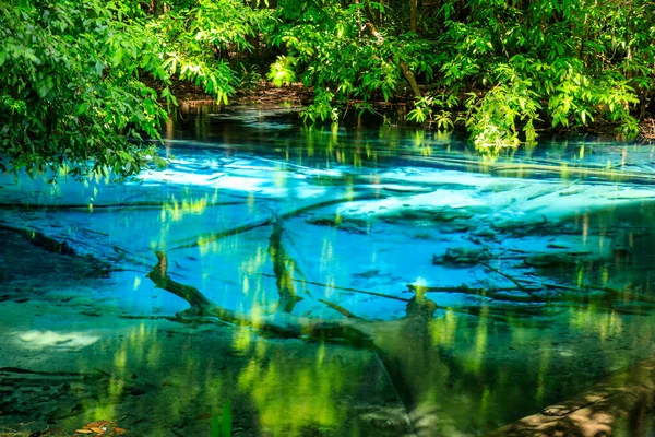 Blue Pool Source Cristalline Turquoise Cachée Milieu Forêt Krabi Thaïlande — Photo