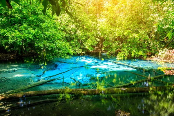 Blue Pool Primavera Cristalina Turquesa Escondida Medio Del Bosque Krabi —  Fotos de Stock