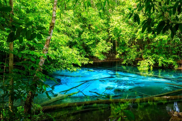 Blue Pool Source Cristalline Turquoise Cachée Milieu Forêt Krabi Thaïlande — Photo