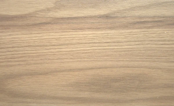 Natural wood, natural pattern texture. Close up shot.