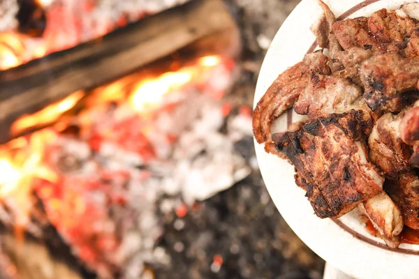 Kazanda Pilaf var. Tabakta barbekü. Doğadaki ateş.