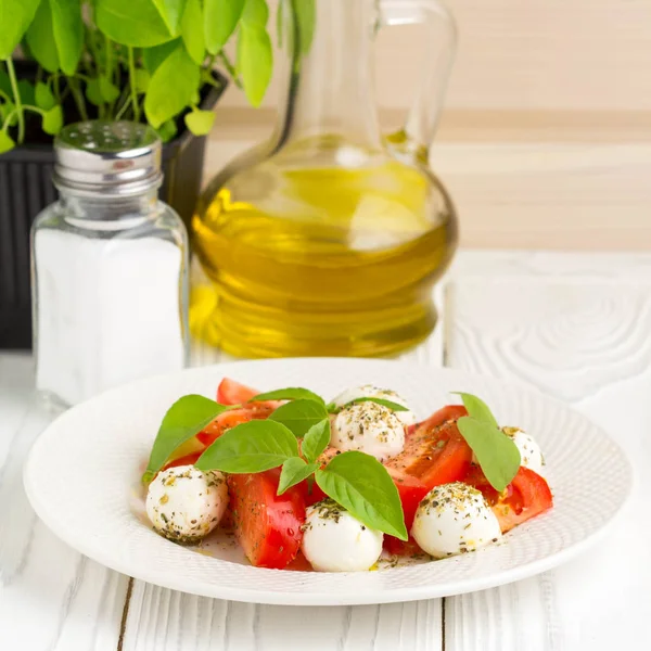 Italian fresh tomato Caprese salad, mozzarella and Basil — Stock Photo, Image