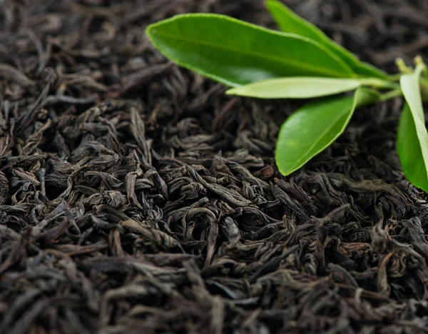 Primer plano del té negro . —  Fotos de Stock