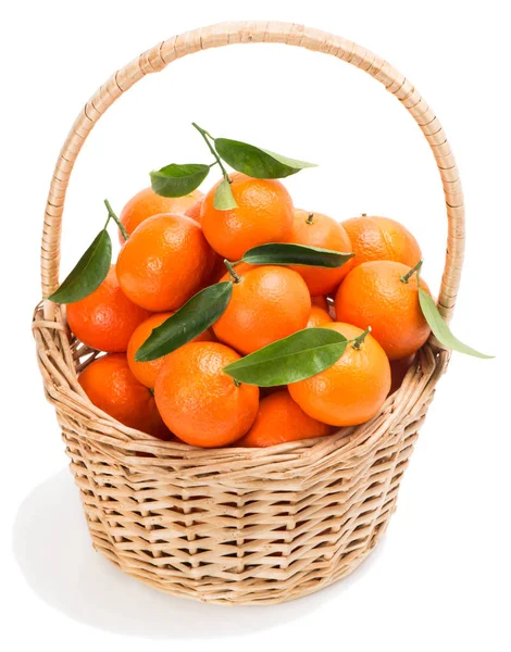 Fresh harvested clementines in basket — Stock Photo, Image