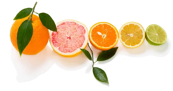 Cuted of citrus fruits — Stock Photo, Image