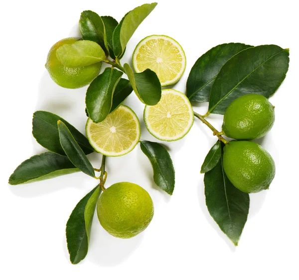 Twig with lime fruits — Stock Photo, Image