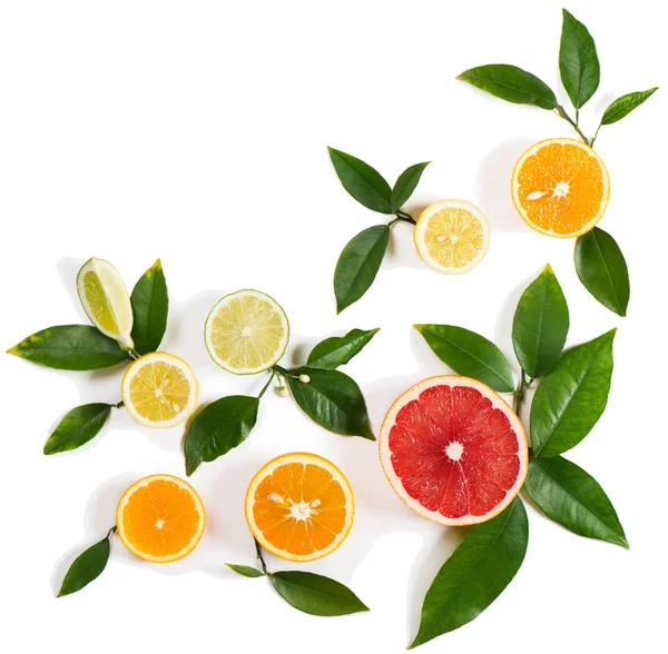 Conjunto de citrinos diferentes — Fotografia de Stock