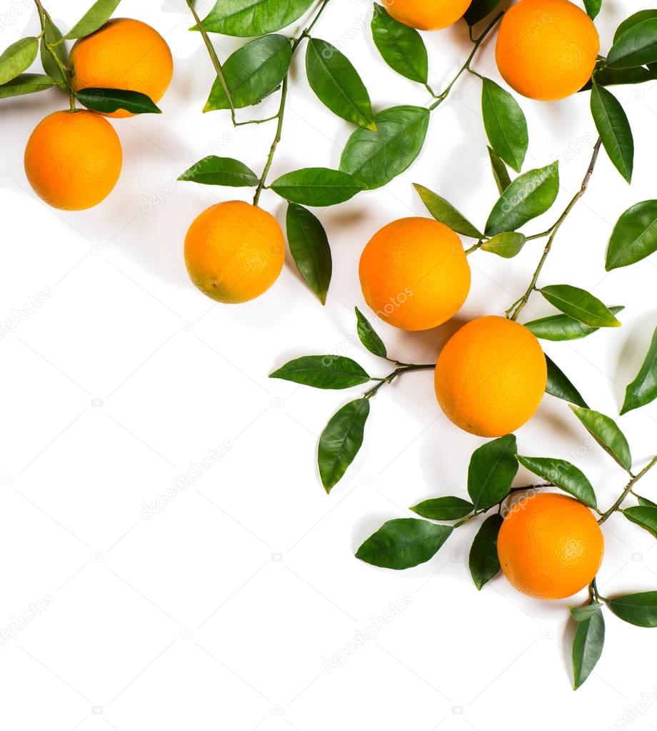 Twigs with oranges. — Stock Photo © Denira 151948102