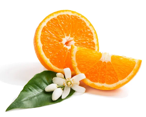 Orangenfrucht und Blüte — Stockfoto