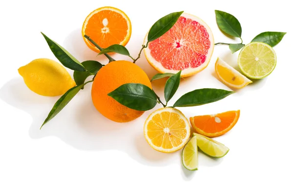 Colorful citrus fruits. — Stock Photo, Image