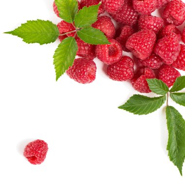 Grup Kırmızı Ahududu yaprağı