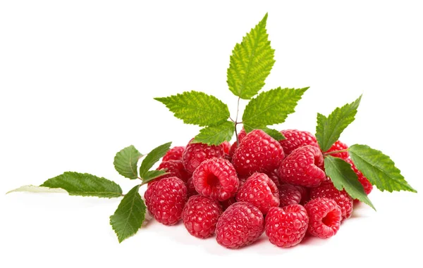 Raspberry φρούτων με φύλλο — Φωτογραφία Αρχείου