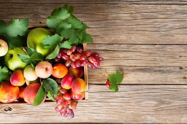 Organic fruit in box, above view.