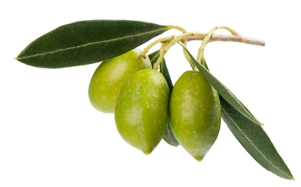 Зеленые оливки с листьями . — стоковое фото