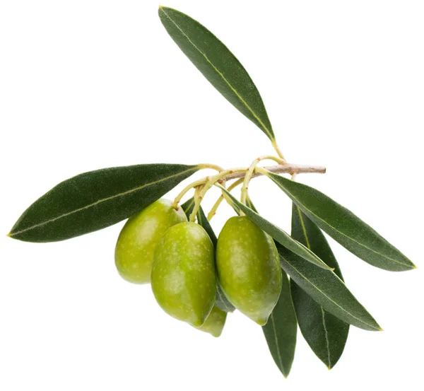 Grüne Oliven mit Blättern. — Stockfoto