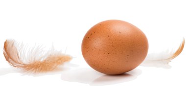 Tek tavuk yumurta