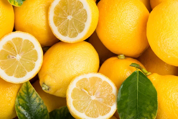 Limone con sfondo foglie . — Foto Stock