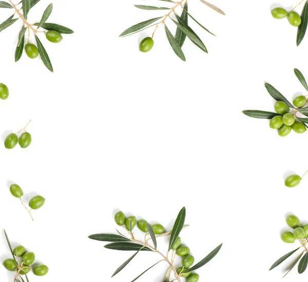 Olive grens op wit. — Stockfoto