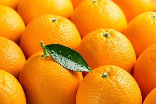 Close up of orange fruits. — Stock Photo, Image