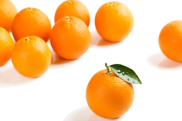 Some of orange fruits. — Stock Photo, Image