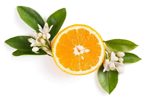 Orangene Früchte und Blumen. — Stockfoto