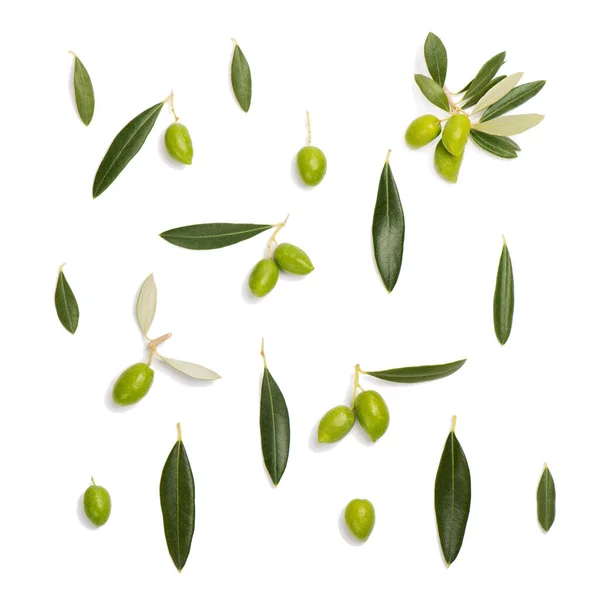 Top View Green Olive Leaves Twig Olive Tree Isolated White — Stock Photo, Image