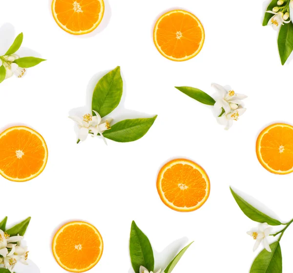白い背景に孤立したオレンジの木の葉とオレンジのスライスと花の果実パターン 最上階だ ロイヤリティフリーのストック画像