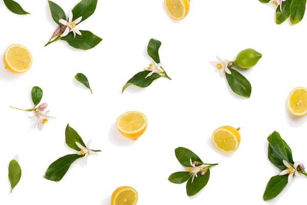Hälften Von Zitronenfrüchten Und Blüten Mit Blättern Von Zitronenbäumen Draufsicht Stockfoto